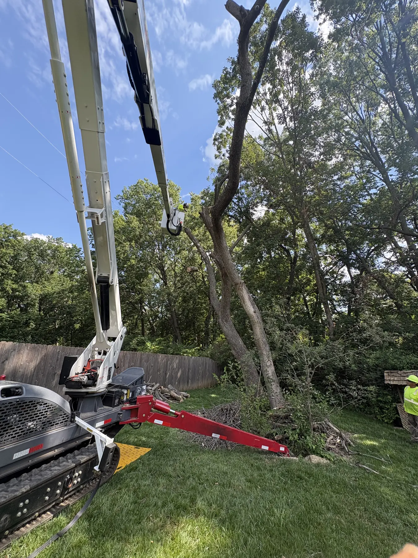 Aerial lift set beside a tall residential tree