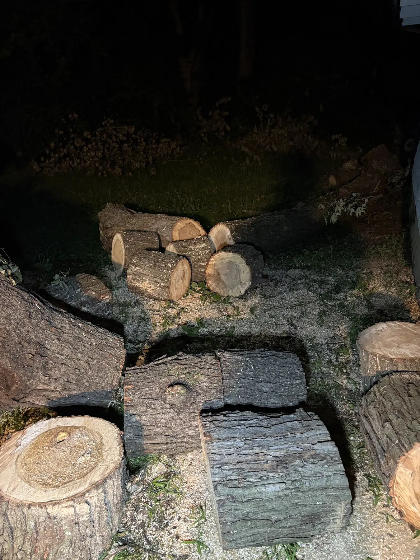 Cut tree sections stacked for handling