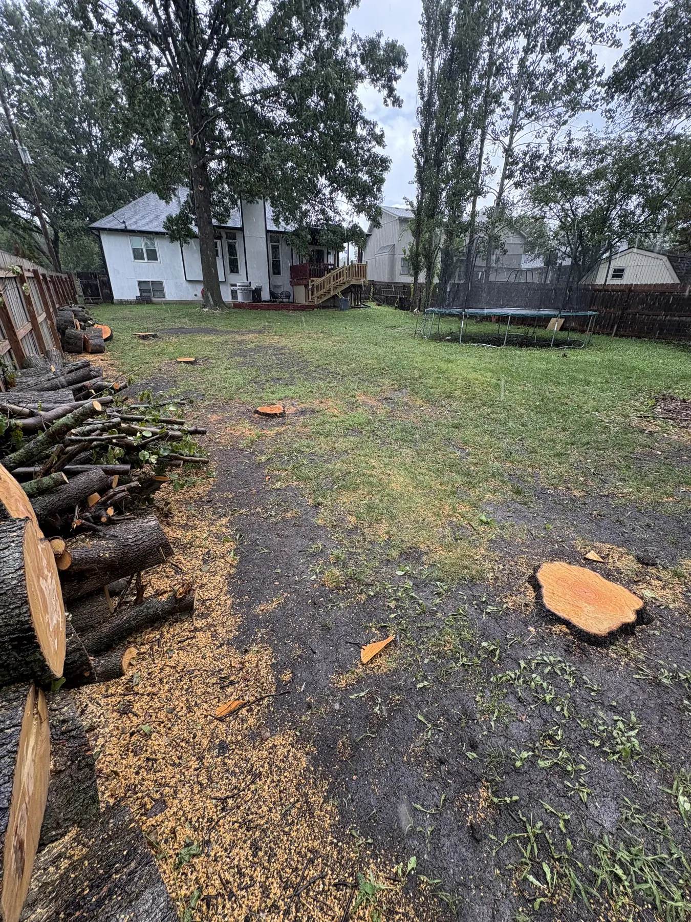 Cut logs and tree debris organized along a cleared yard edge