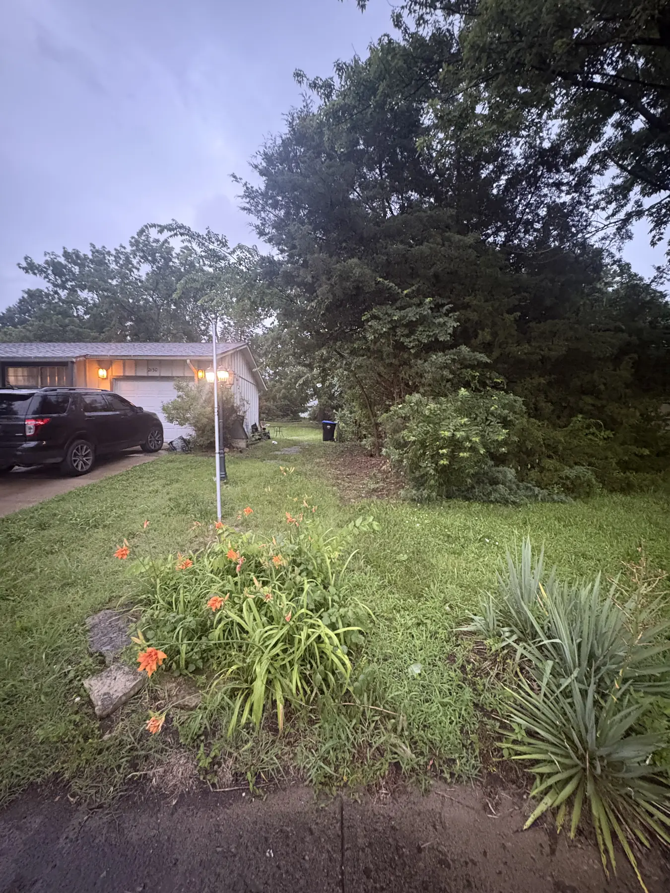Illuminated tree-service work zone after dark