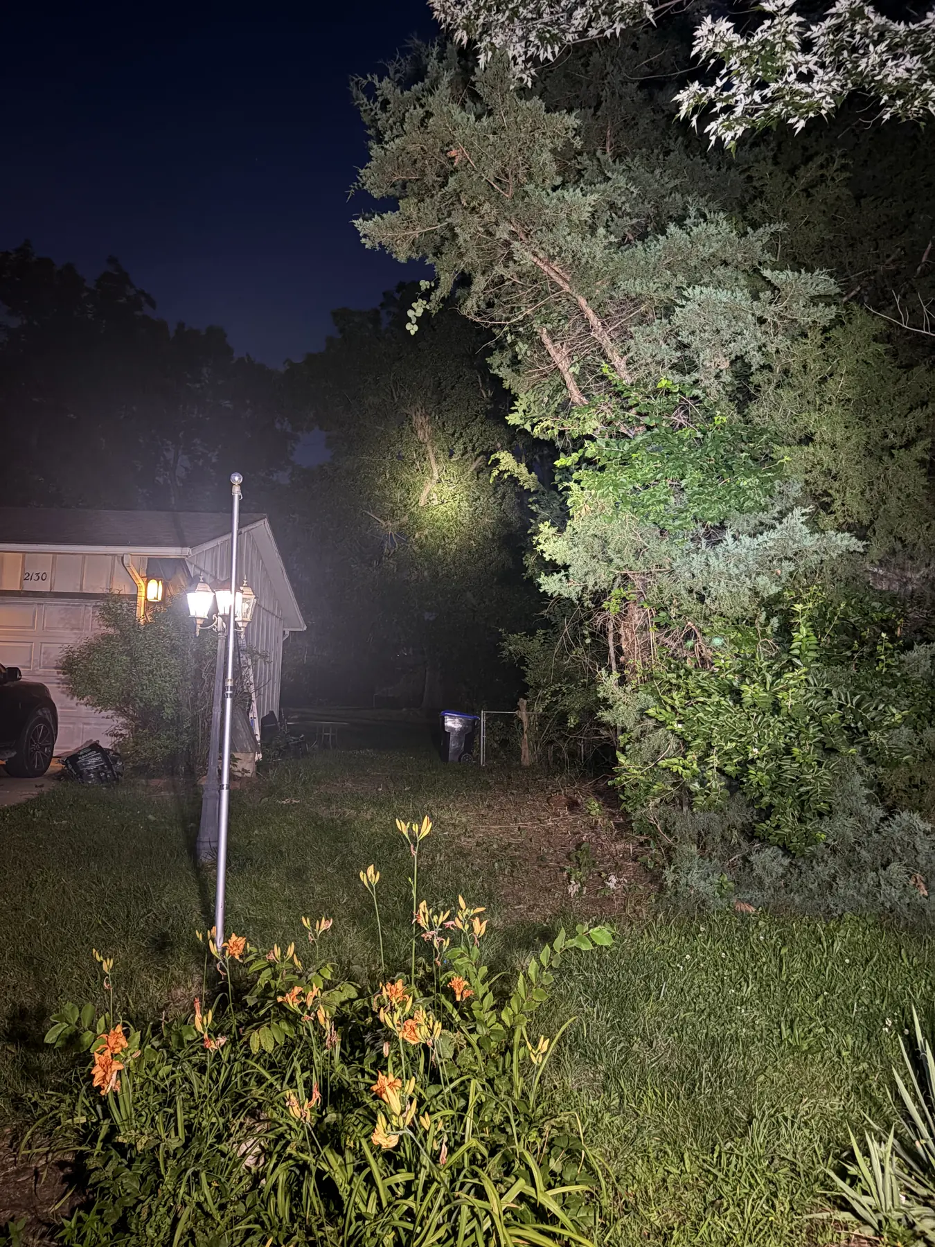 Tree rigging and work lights visible at night