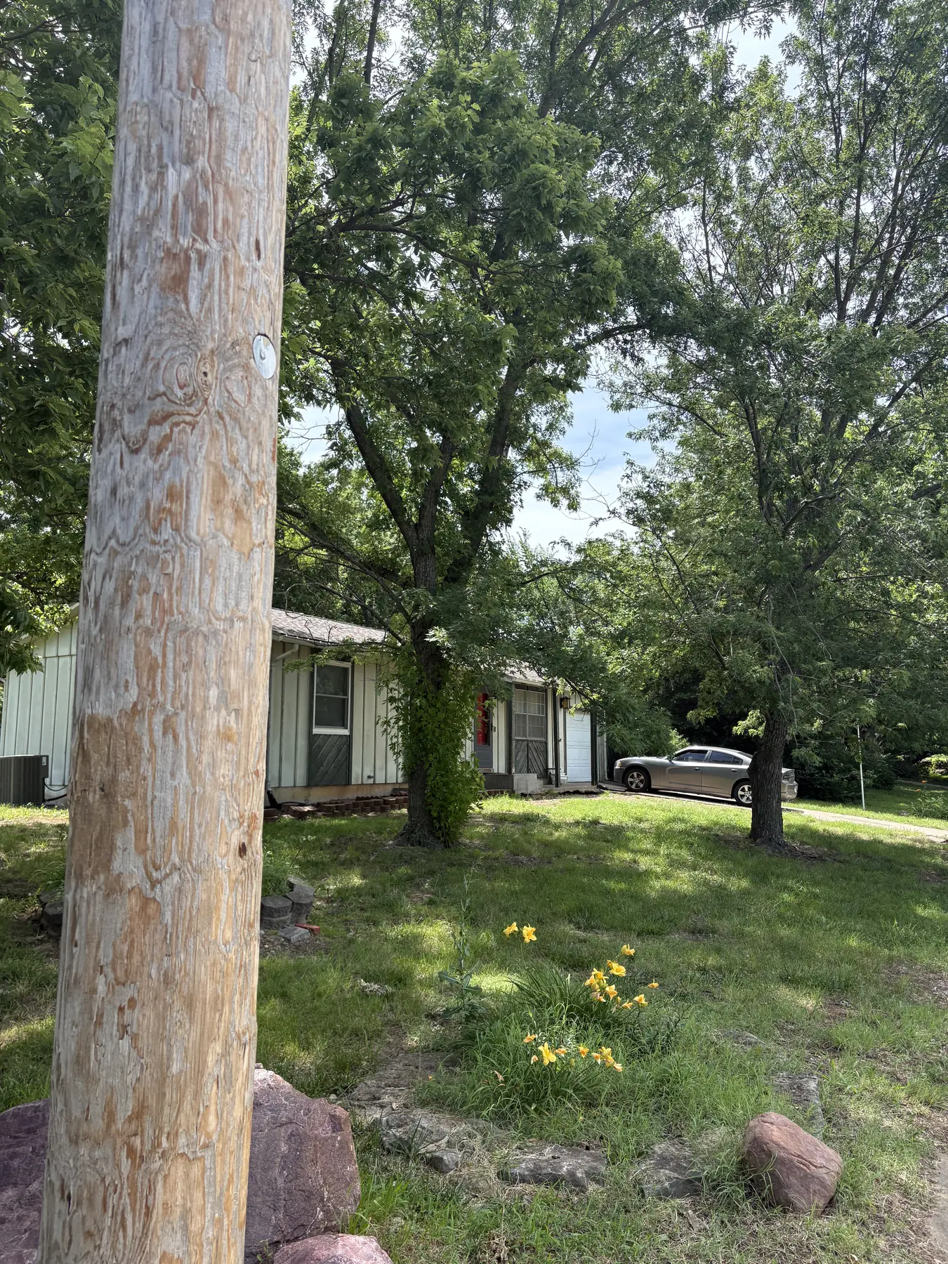 Open residential yard after tree work and debris removal