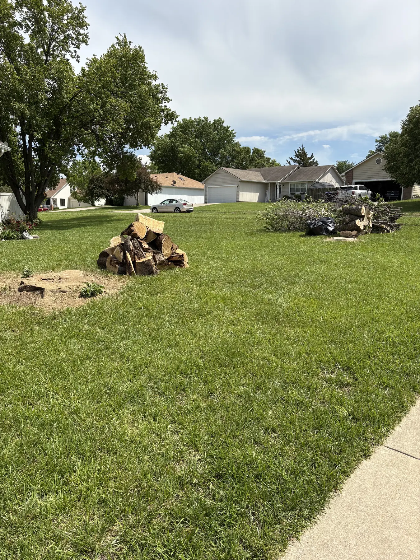 Cut stump and wood sections on a residential lawn during cleanup