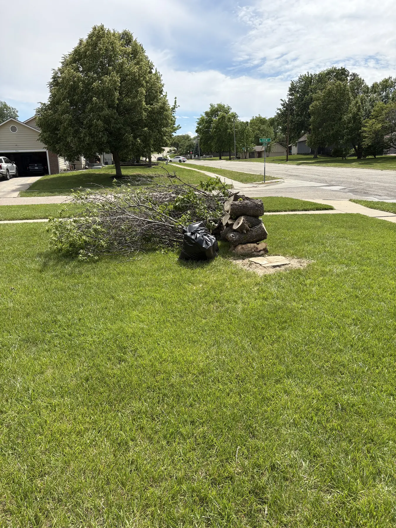 Stump area and cut wood prepared on a grassy property