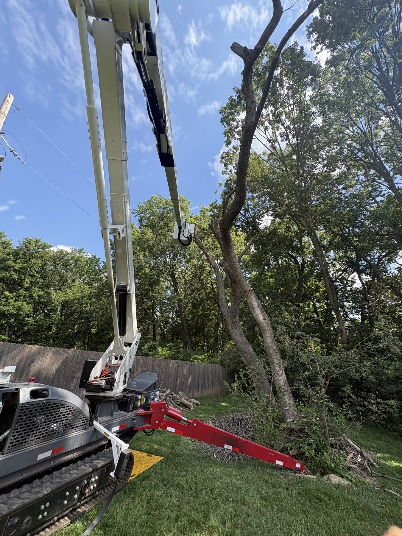 Tracked aerial lift positioned beside a backyard tree