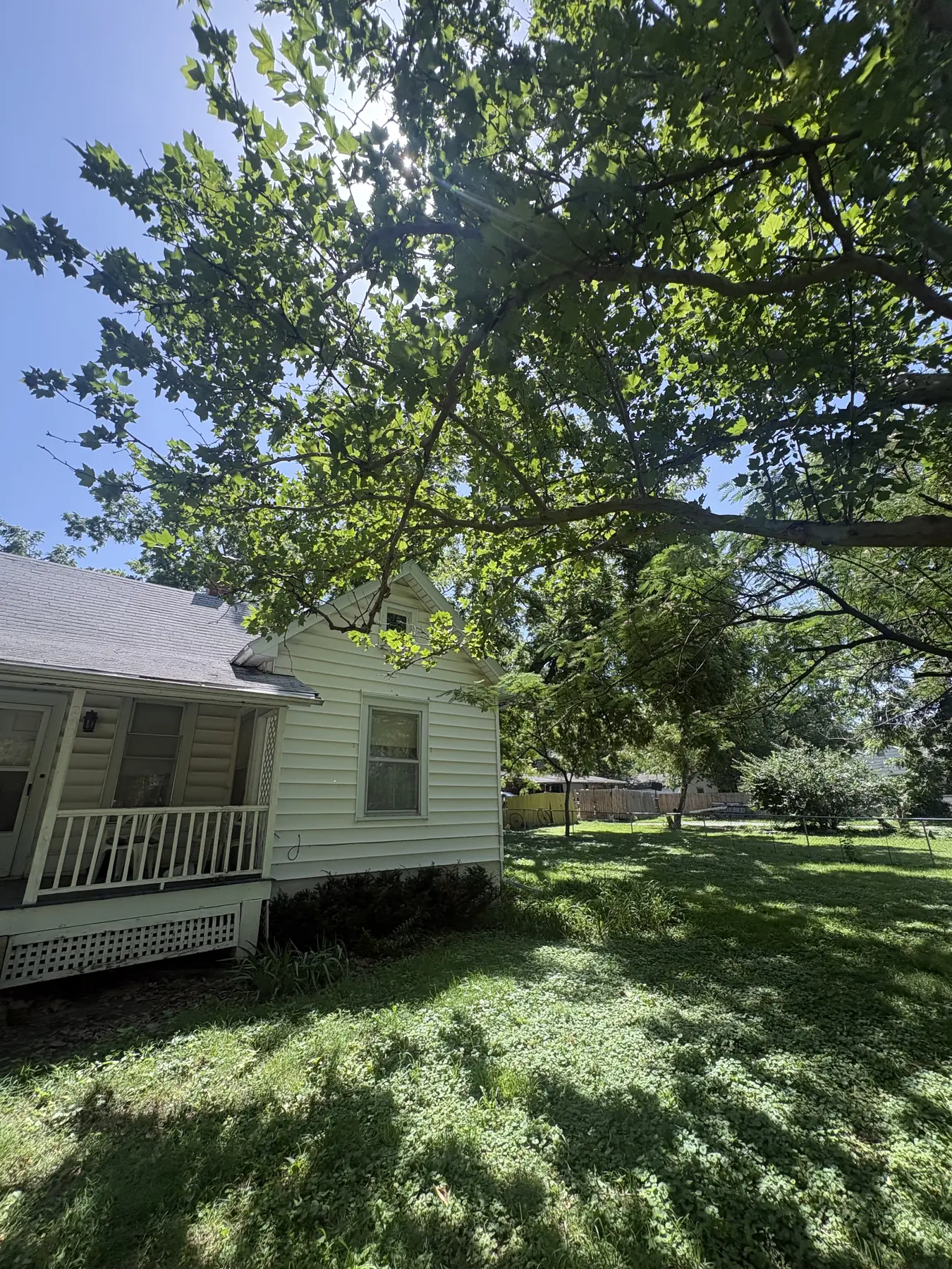 Tree canopy extending near the roof of a small home