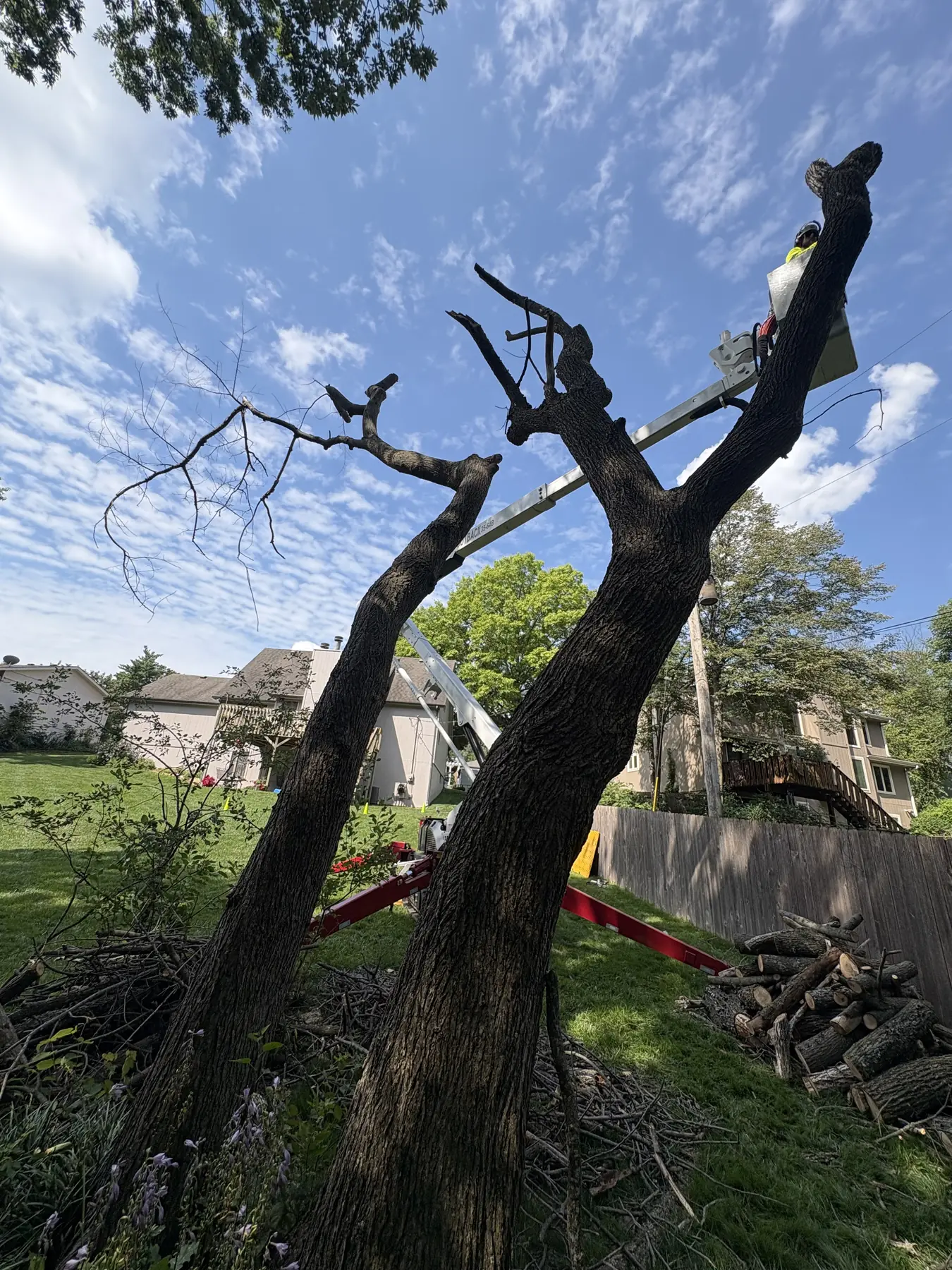 Cut tree trunk in a narrow work zone beside a garage and fence