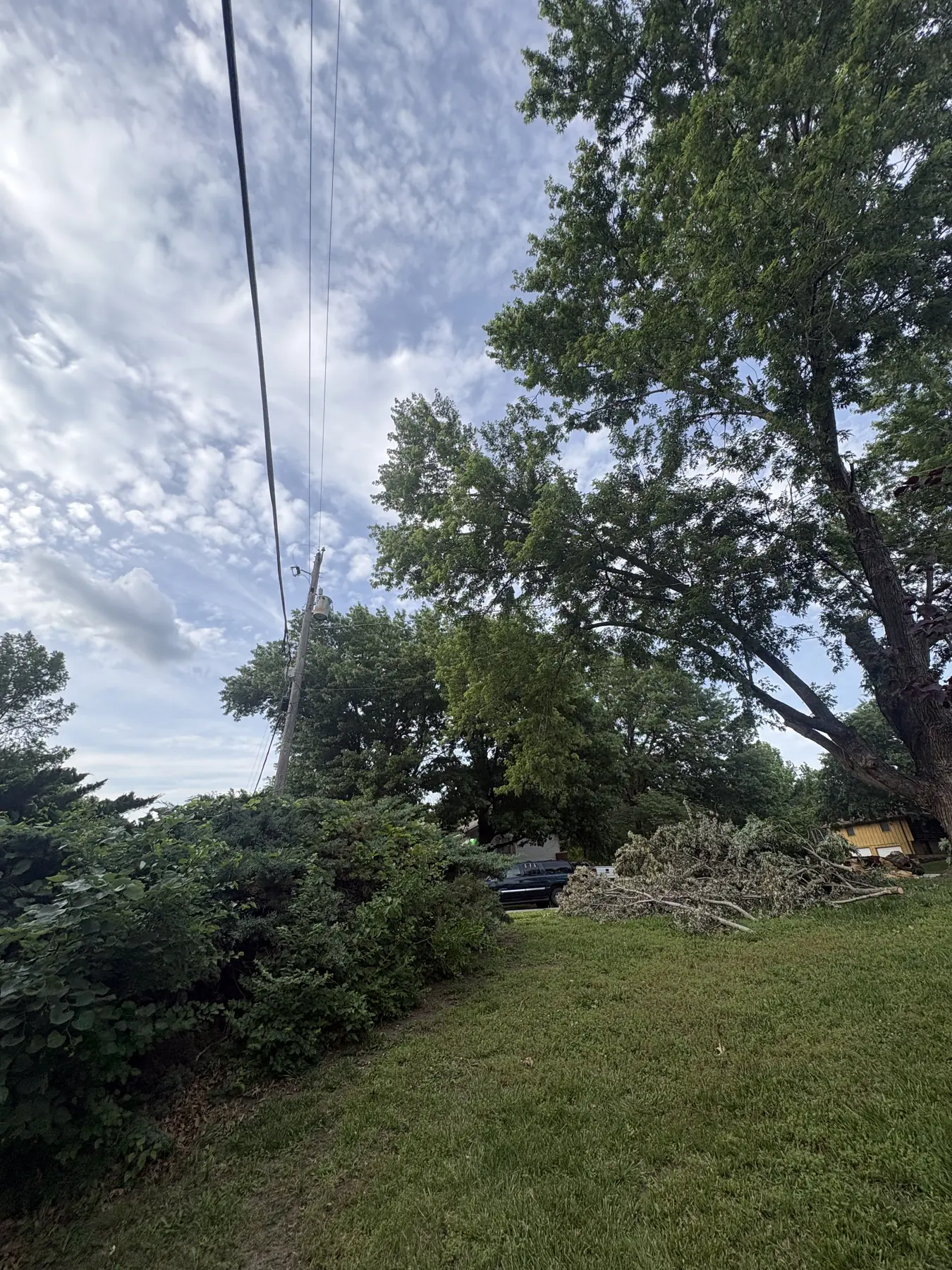 Cleared brush and branch pile along a residential yard